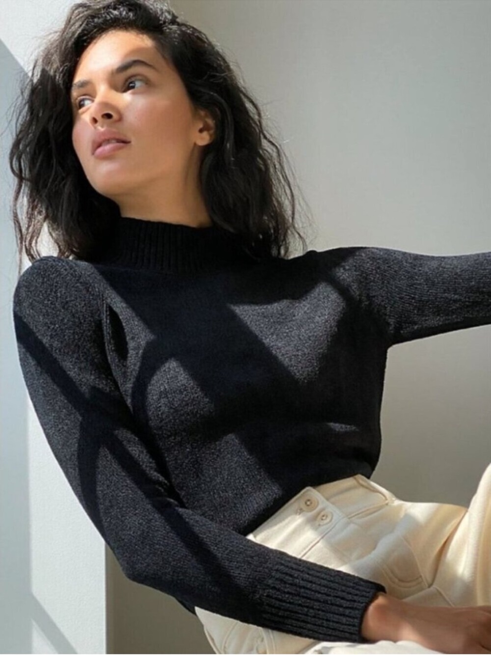 Aritzia Wilfred Corteta Sweater